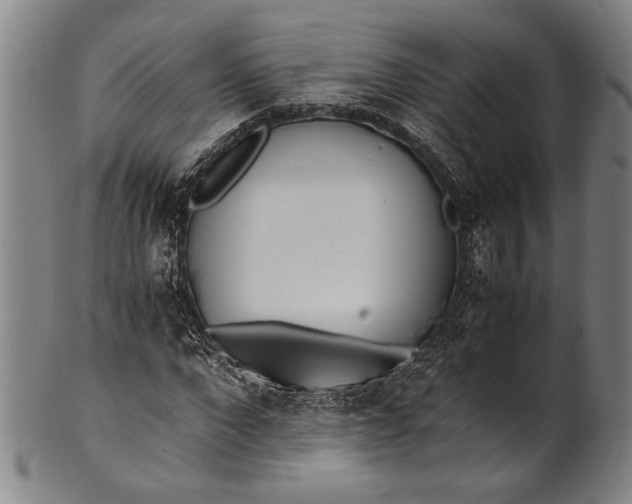 X0000100850872200807111213