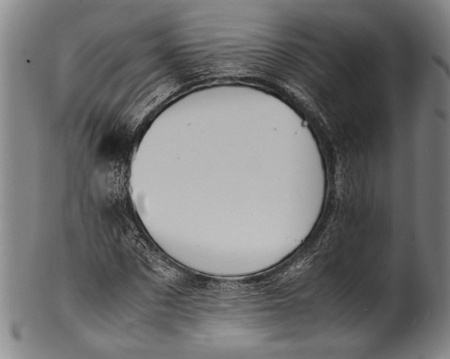 X0000100850873200807111213