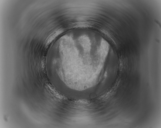 X0000100850874200807111213