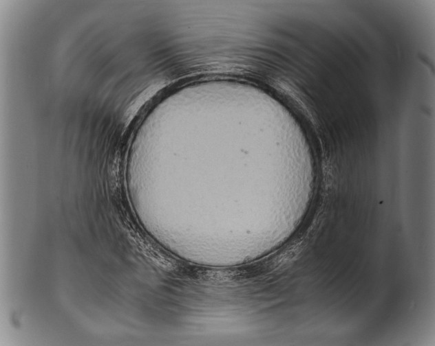 X0000100850875200807111213