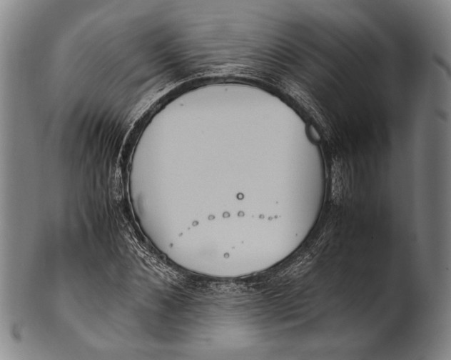 X0000100850876200807111213