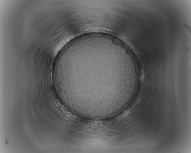 X0000100850877200807111213