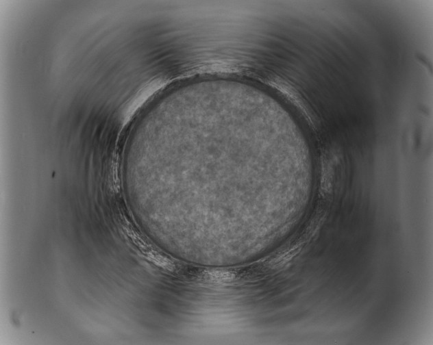 X0000100850878200807111213