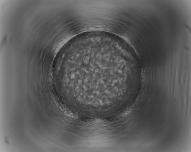 X0000100850879200807111213