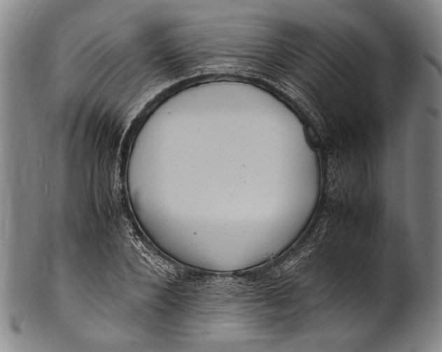 X0000100850880200807111213