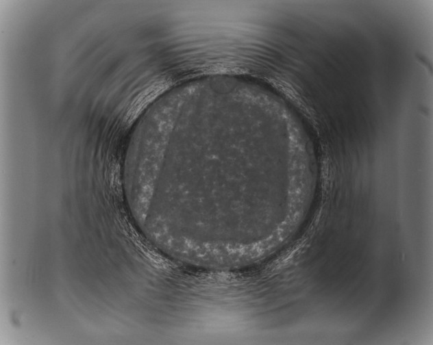 X0000100850881200807111213