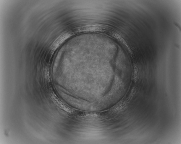 X0000100850882200807111213