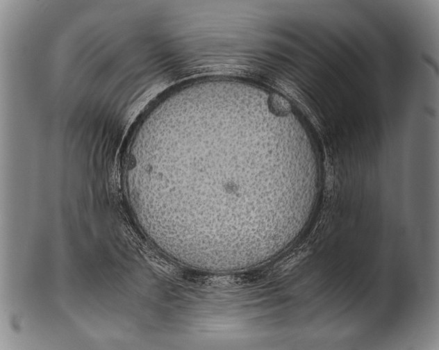 X0000100850883200807111213