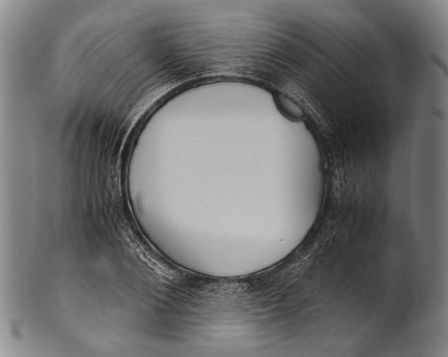 X0000100850884200807111213