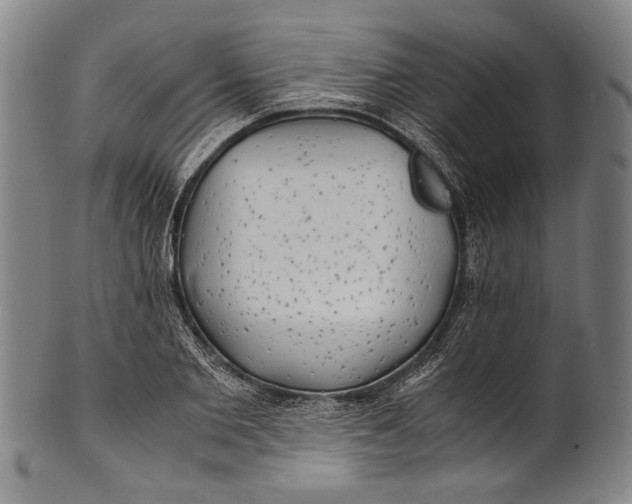 X0000100850885200807111213