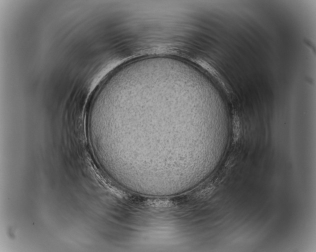 X0000100850886200807111213