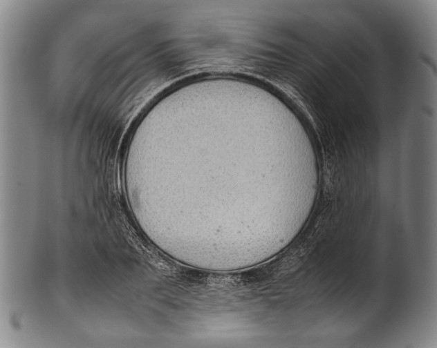 X0000100850887200807111213