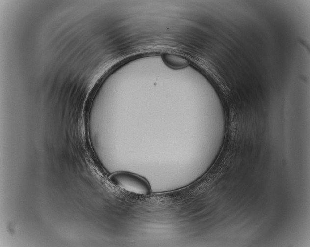 X0000100850888200807111213