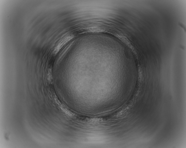 X0000100850889200807111213