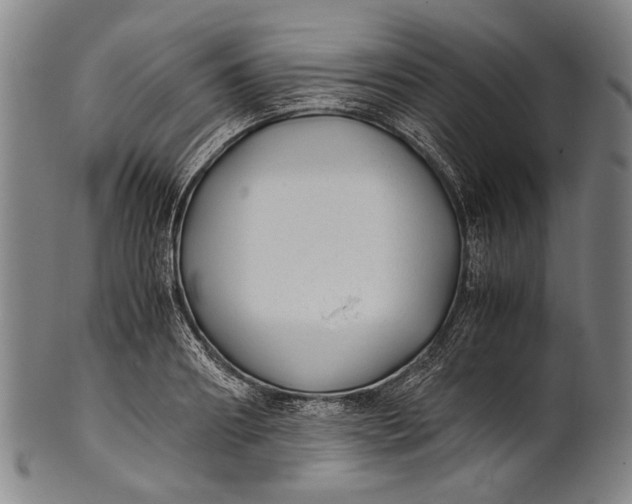 X0000100850890200807111213