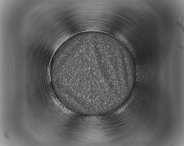 X0000100850892200807111213