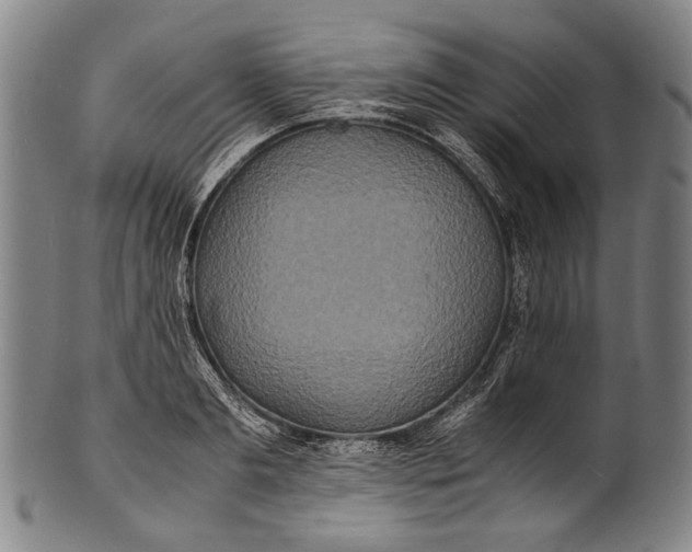 X0000100850893200807111213