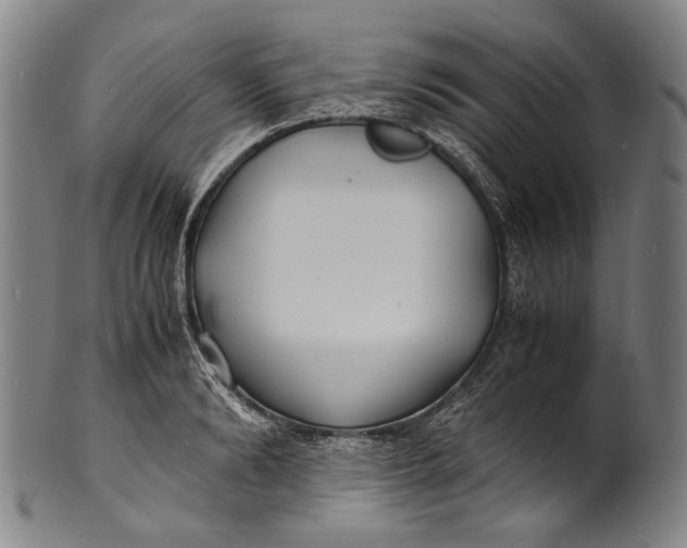 X0000100850894200807111213