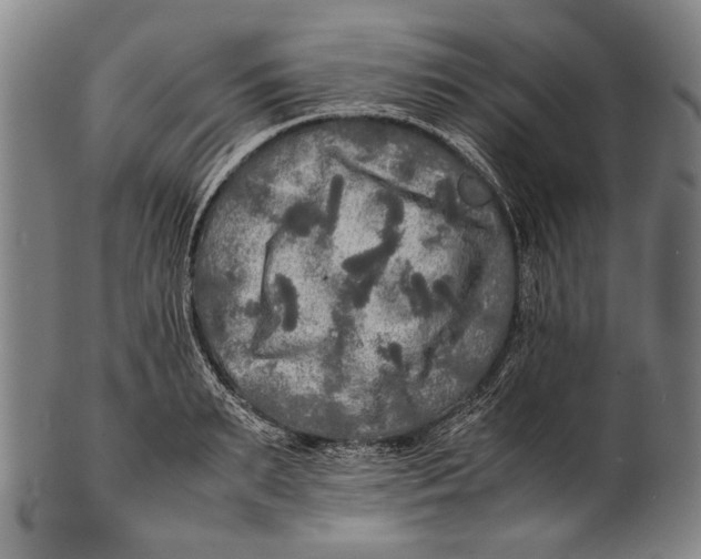 X0000100850895200807111213