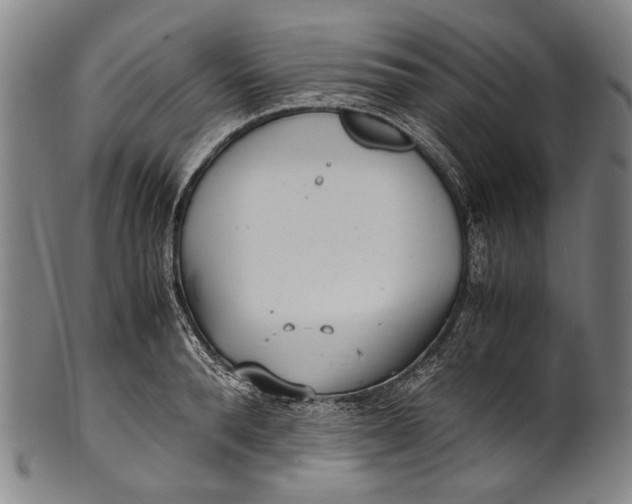 X0000100850896200807111213