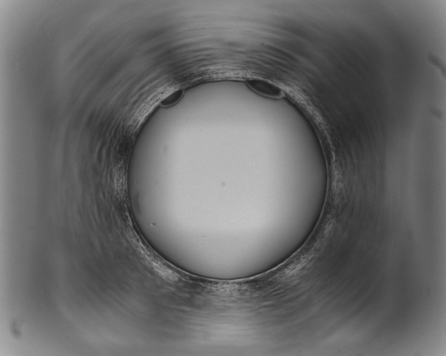 X0000100850897200807111213