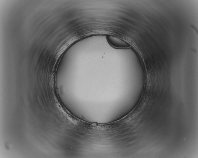 X0000100850898200807111213