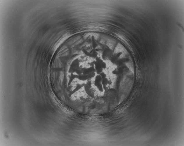 X0000100850899200807111213