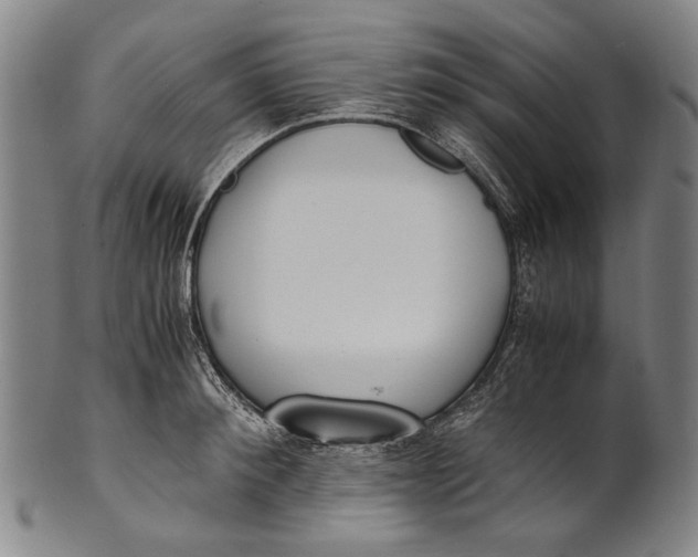 X0000100850900200807111213