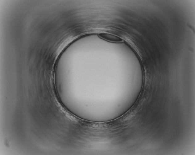 X0000100850901200807111213