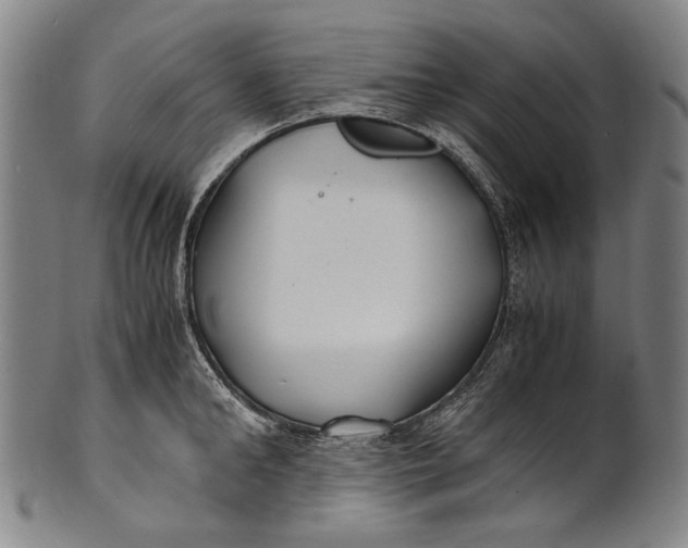 X0000100850902200807111213