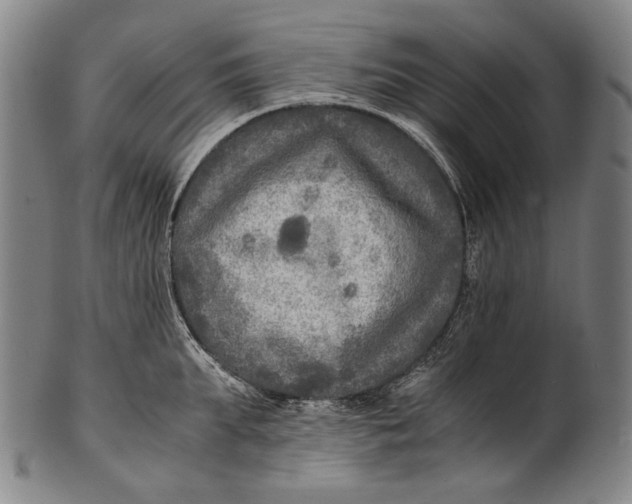 X0000100850903200807111213