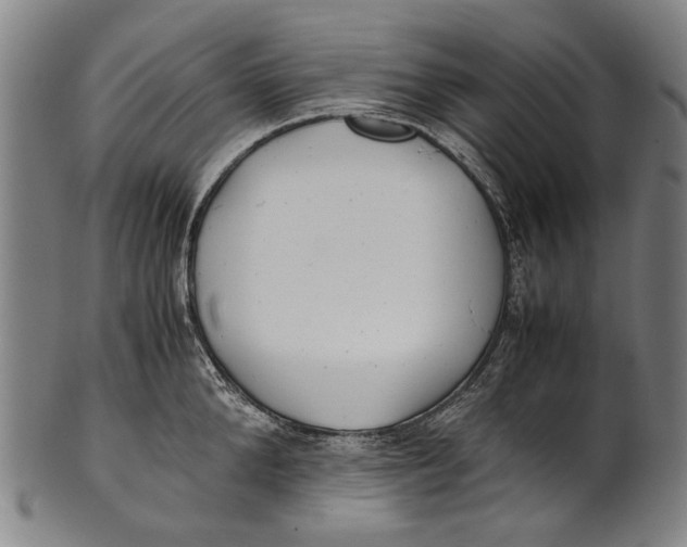 X0000100850904200807111213