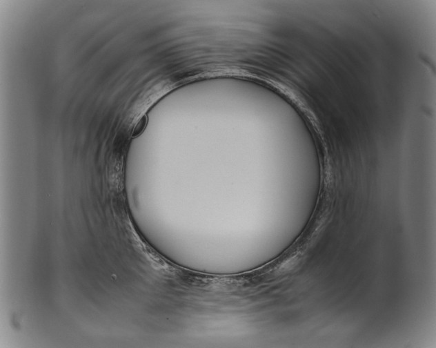 X0000100850905200807111213