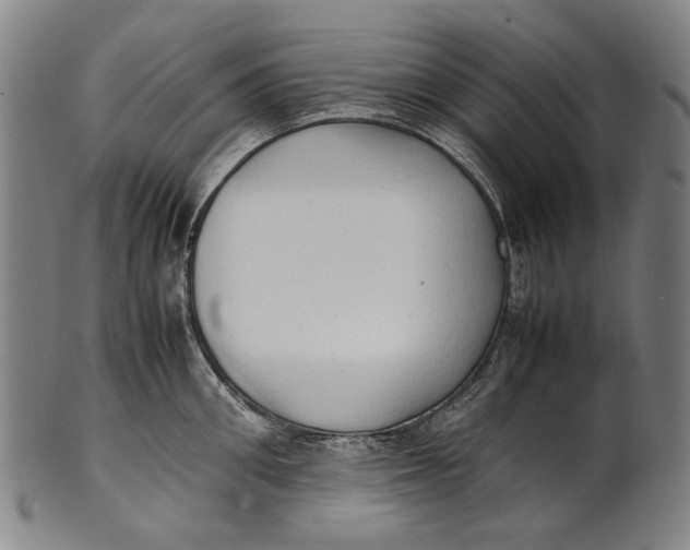 X0000100850906200807111213