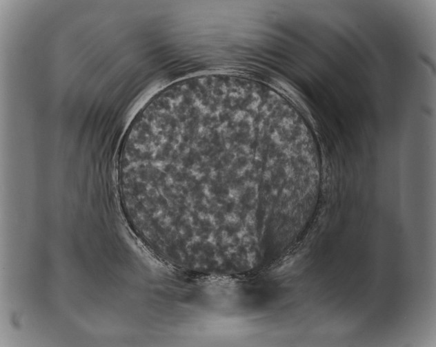 X0000100850907200807111213