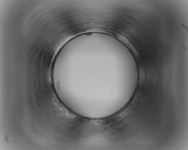 X0000100850908200807111213