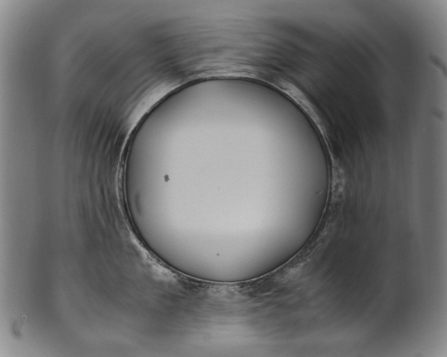 X0000100850909200807111213