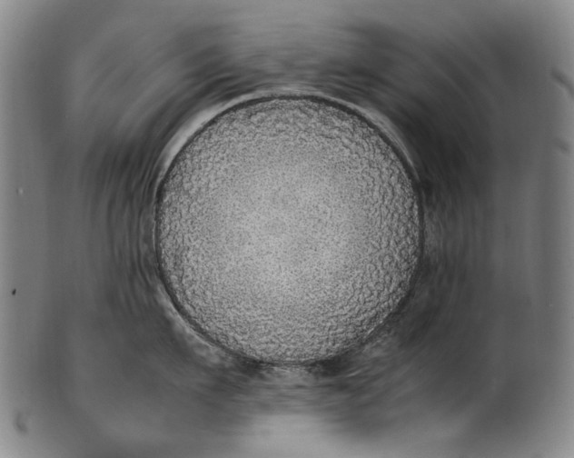 X0000100850911200807111213