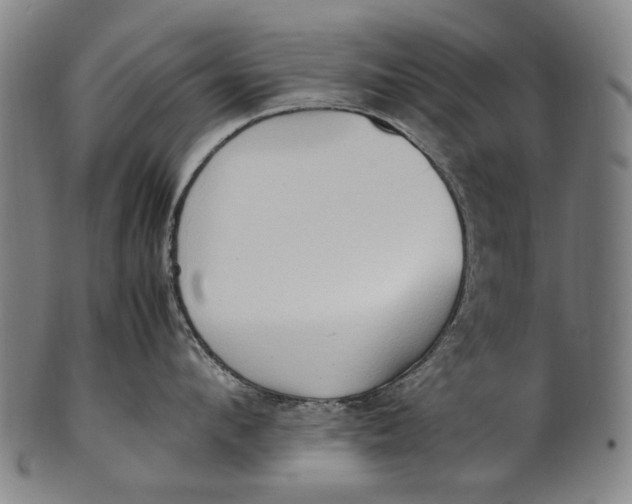 X0000100850912200807111213