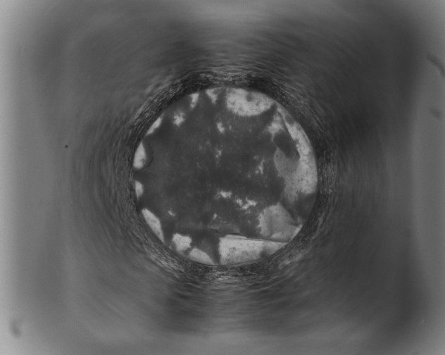 X0000100850913200807111212