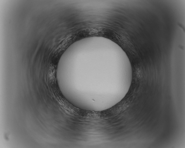 X0000100850914200807111212