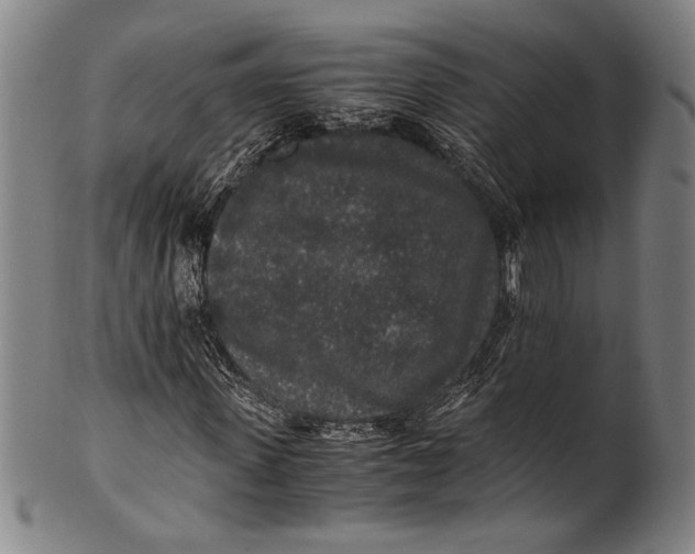 X0000100850915200807111212