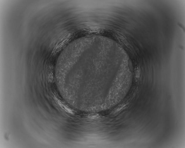 X0000100850916200807111212