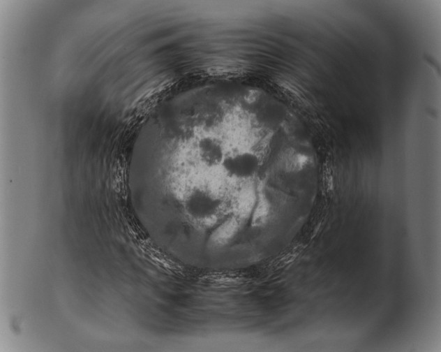 X0000100850917200807111212