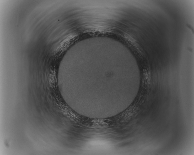 X0000100850918200807111212