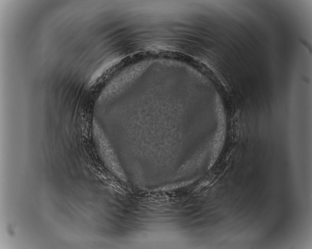 X0000100850919200807111212