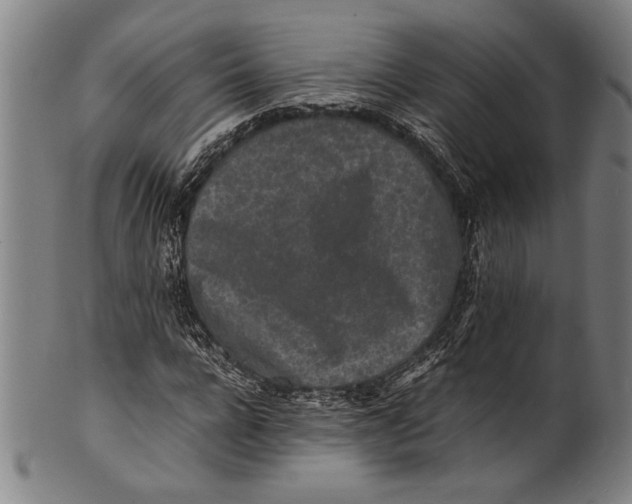 X0000100850920200807111212