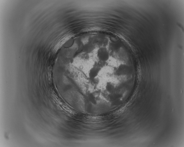 X0000100850921200807111212