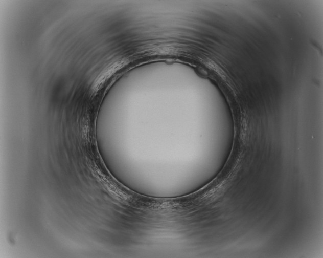 X0000100850922200807111212