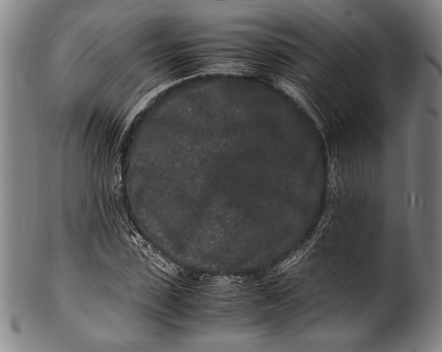 X0000100850923200807111212